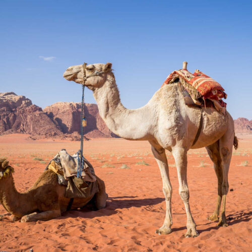 5 days desert tour from Marrakesh