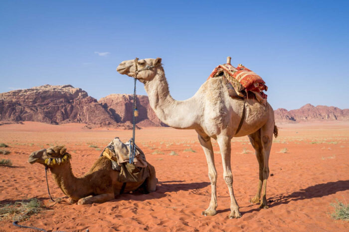 5 days desert tour from Marrakesh